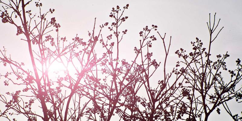 天津华阳精密主轴热误差补偿技术:智能算法与传感器融合如何实现机床全天候“零漂移”加工?